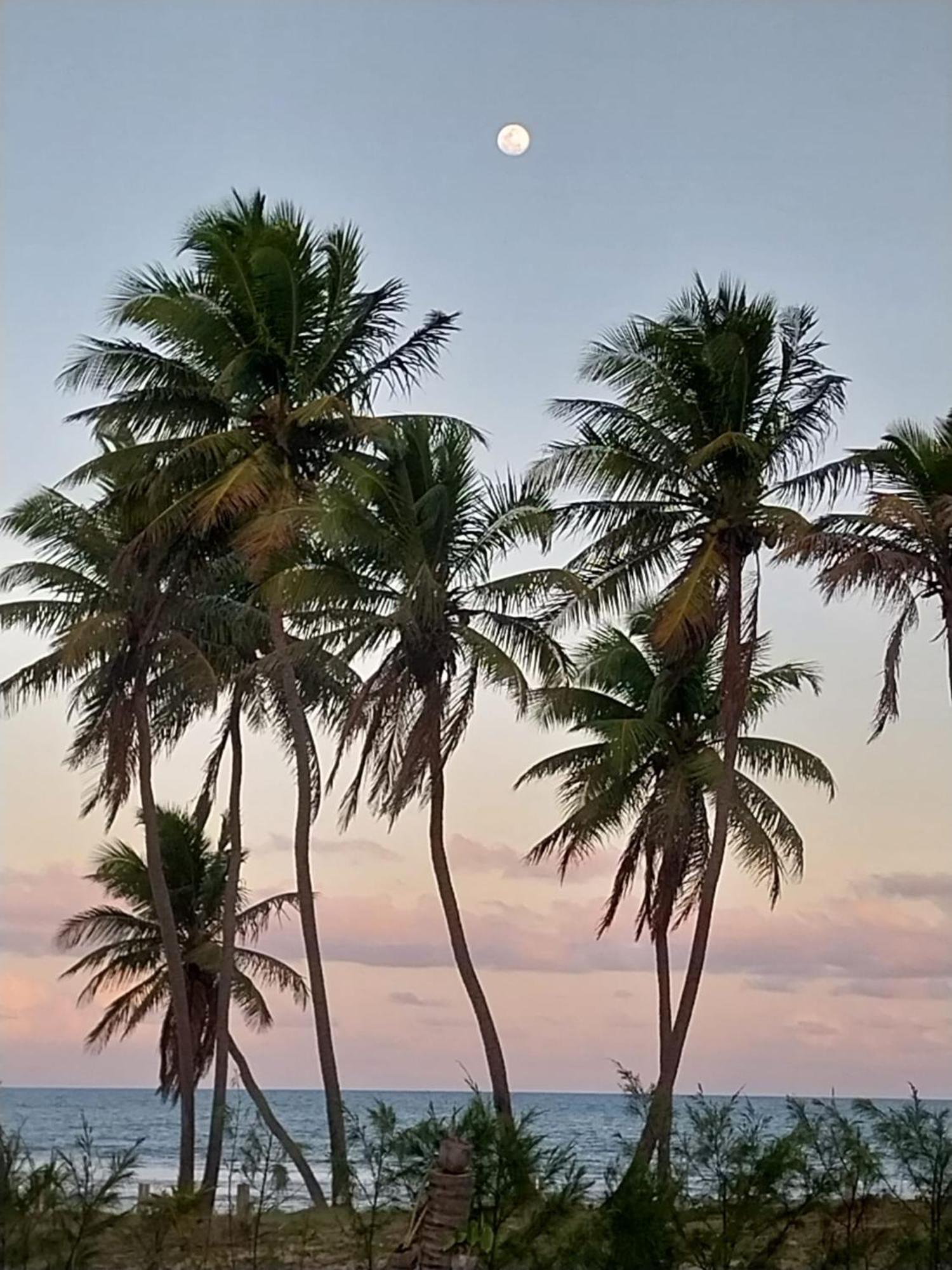 Beach House - Secured, Beach Access, Sea View, Best Location Baixio  Esterno foto